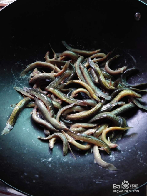 泥鰍的制作方法與如何妥善處理殺泥鰍，泥鰍的制作方法與殺泥鰍處理技巧