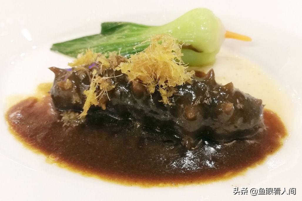海參的烹飪方法與口感體驗，海參烹飪方法與口感體驗解析