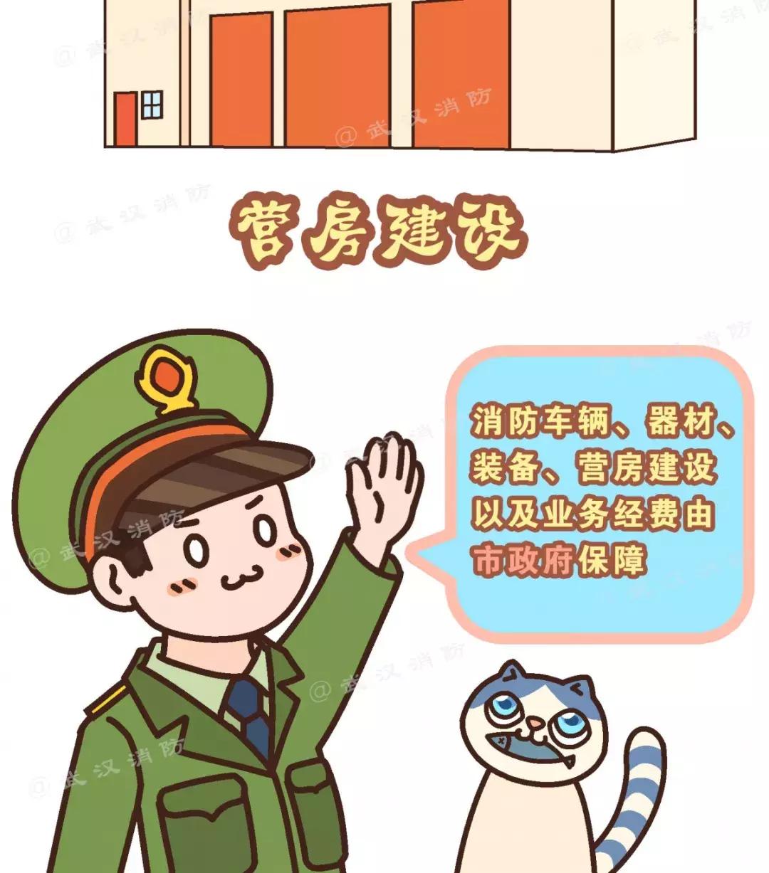 中國(guó)武警部隊(duì)的編制屬性，深度解析與探討，中國(guó)武警部隊(duì)編制屬性深度解析與探討