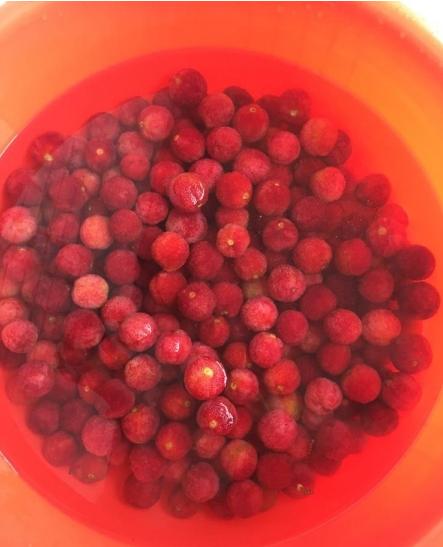楊梅酒的制作方法，楊梅酒制作教程