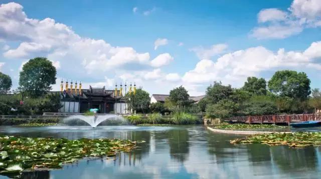 西溪國家濕地公園地址，自然之美的聚集地，西溪國家濕地公園地址，自然之美的天堂