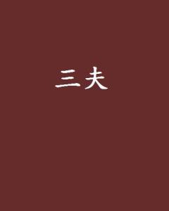 三夫之力，探索內(nèi)在的力量與智慧，三夫之力，挖掘內(nèi)在的力量與智慧
