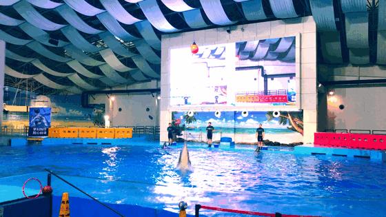 漢海海洋公園門票票價詳解，漢海海洋公園門票價格全面解析