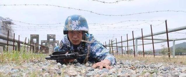 揭秘蛟龍突擊隊(duì)，成員數(shù)量及背后故事，揭秘蛟龍突擊隊(duì)，成員數(shù)量與背后故事全解析