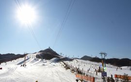 南山滑雪場(chǎng)溫度下的雪上風(fēng)情與體驗(yàn)，南山滑雪場(chǎng)，低溫下的雪上風(fēng)情與極致體驗(yàn)