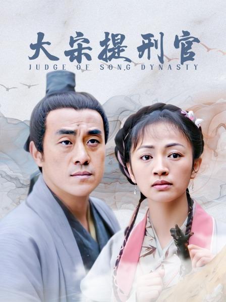 大宋提刑官，司法公正與智慧的象征，大宋提刑官，司法公正與智慧的典范