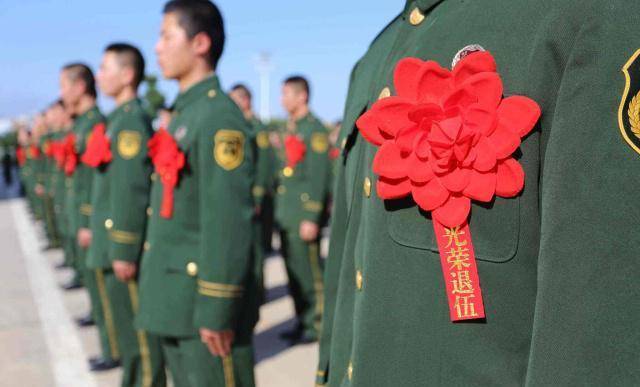 退役軍人圖片集，榮耀的瞬間與永恒的紀(jì)念，退役軍人圖片集，榮耀的瞬間，永恒的紀(jì)念