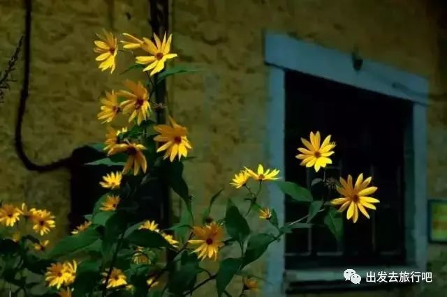 如何購買綠皮火車的車票——以12306為例，購買綠皮火車車票指南，以12306為例