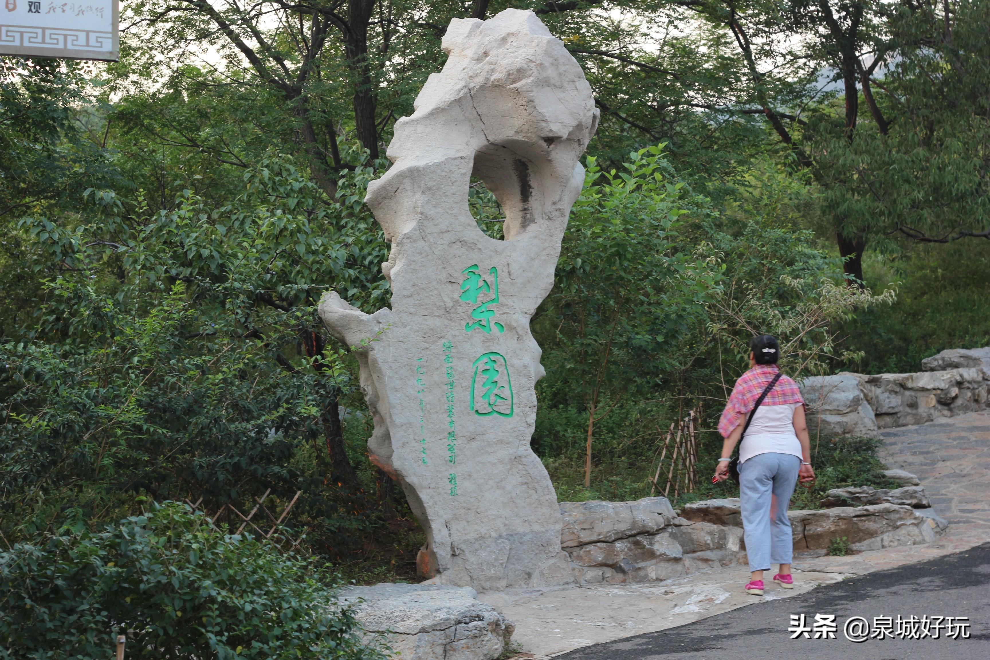 濟(jì)南千佛山景區(qū)門票免費(fèi)預(yù)約攻略，濟(jì)南千佛山景區(qū)門票免費(fèi)預(yù)約攻略詳解