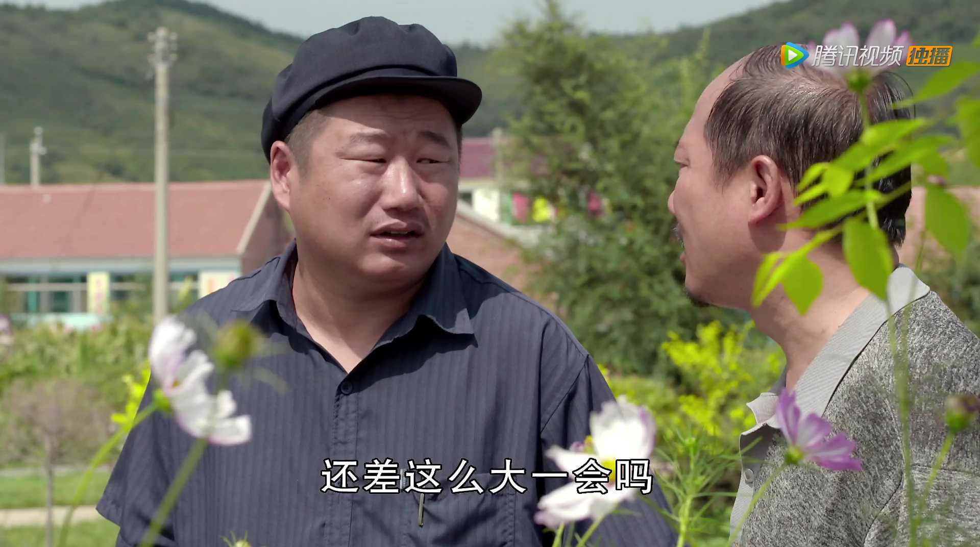 鄉(xiāng)村愛情8，情感交織的田園畫卷，鄉(xiāng)村愛情8，情感交織的田園生活浪漫篇章