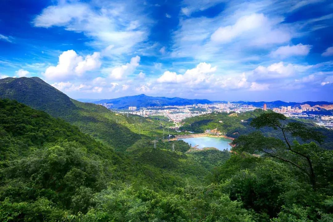 藍(lán)色夢(mèng)想 第3頁(yè)