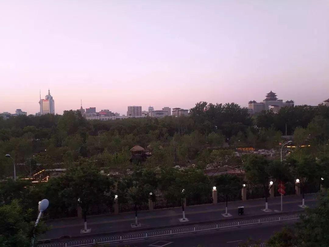 探索附近公園的免費(fèi)景點(diǎn)，自然與文化的盛宴，自然與文化盛宴，免費(fèi)探索附近公園景點(diǎn)