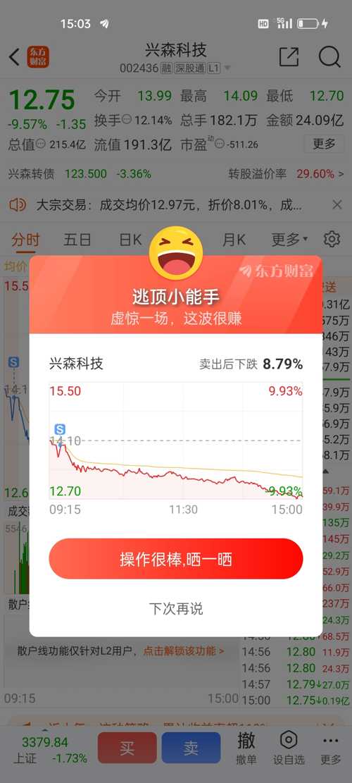 興森科技（股票代碼，002436）股票股吧深度解析，興森科技（股票代碼，002436）深度解析與股吧熱議