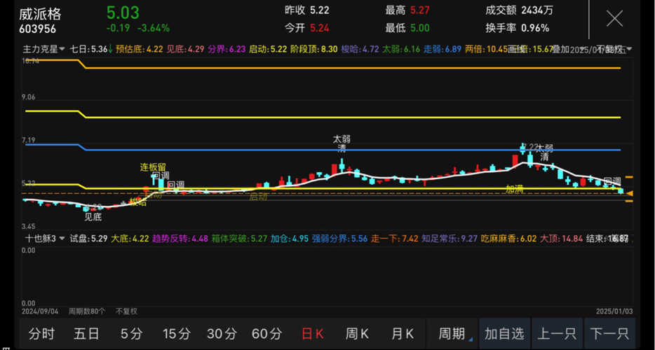 探索603956股吧的獨(dú)特魅力與價(jià)值，揭秘603956股吧的獨(dú)特魅力與投資價(jià)值