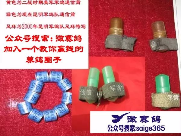 模環(huán)要稿解參多器黃——技術(shù)領(lǐng)域的深度解析，模環(huán)要稿解參多器黃技術(shù)深度解析
