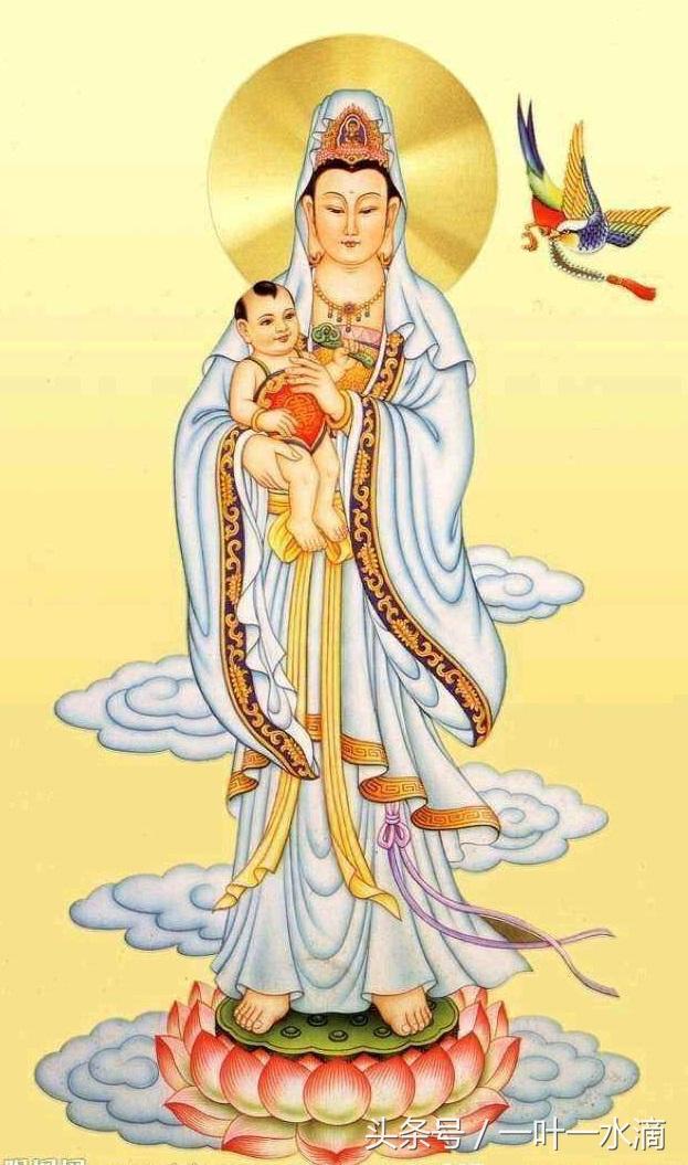探索全新視界，三情參界全裝儀與F網(wǎng)頻的融合，三情參界全裝儀與F網(wǎng)頻融合，開啟全新視界探索