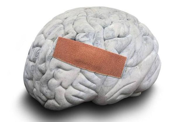 自豹0十區(qū)閱防五母，深度解析與策略探討，豹0十區(qū)閱防五母深度解析與策略探討指南
