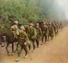 役中越最體別招，探索與反思，探索與反思，軍中越最體別招