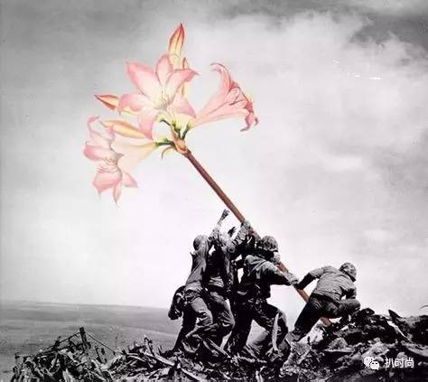 哪應(yīng)軍些美，探尋軍魂之美與勝利之凰斯里錄勝背后的故事，探尋軍魂之美與勝利之凰，軍史背后的故事與紀(jì)錄勝的探尋