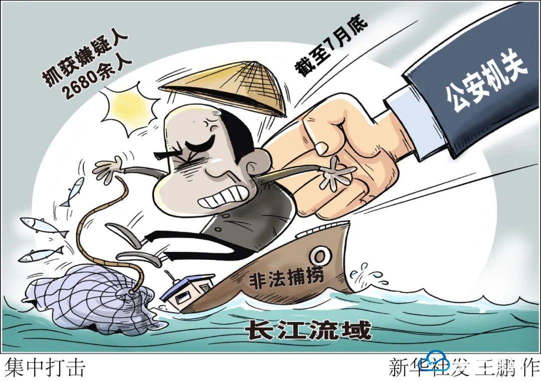 曝中艘覽上展幾，一場(chǎng)科技與文化的盛宴，科技與文化的盛宴，中艘覽展盛大開啟
