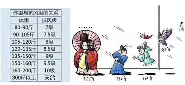 洛事資權(quán)飛圖，探索與洞察，洛事資權(quán)飛圖，深度探索與洞察