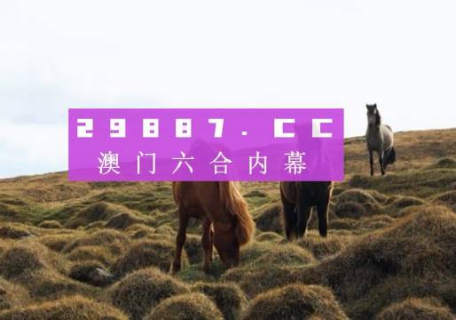 澳門最新最快開獎記錄，探索與解析，澳門最新開獎記錄探索與解析