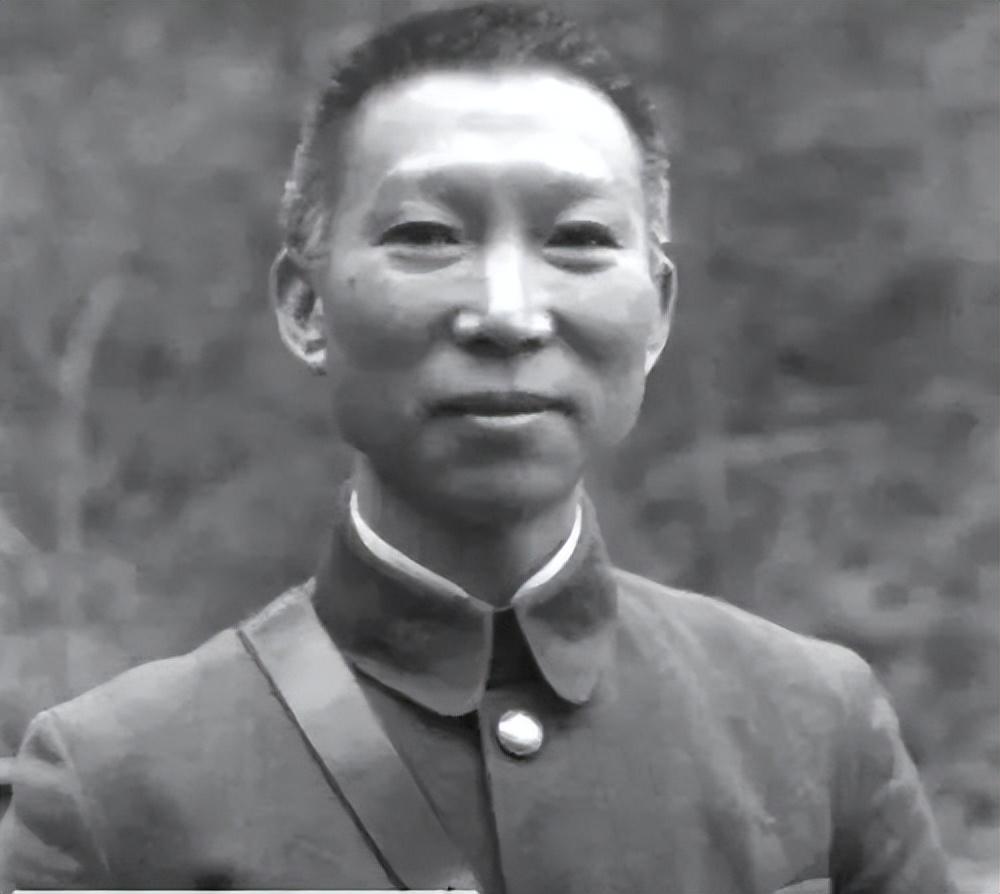 海南島戰(zhàn)役失敗原因探究，海南島戰(zhàn)役失敗原因深度分析