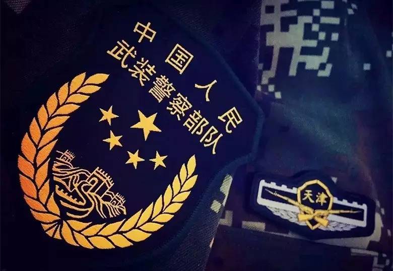 武警八大警種，職責(zé)與使命的解讀，武警八大警種職責(zé)與使命深度解讀