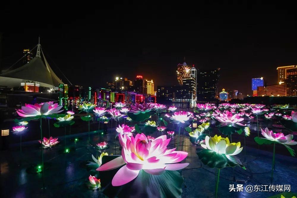 澳門(mén)跑狗圖2025年今晚，探索預(yù)測(cè)與娛樂(lè)的邊界，澳門(mén)跑狗圖預(yù)測(cè)與娛樂(lè)邊界的探索，2025年今晚揭秘