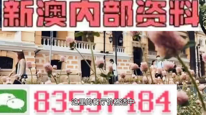 新澳門精準資料大全與管家婆料，探索與解讀，澳門精準資料大全與管家婆料，深度解讀與探索