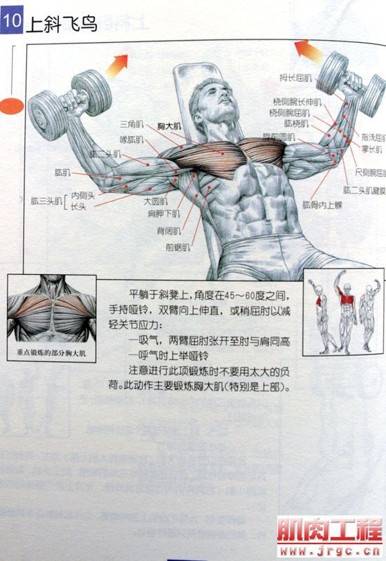 胸肌訓(xùn)練圖解，打造完美胸肌的全方位指南，胸肌訓(xùn)練全攻略，圖解打造完美胸肌的全方位指南