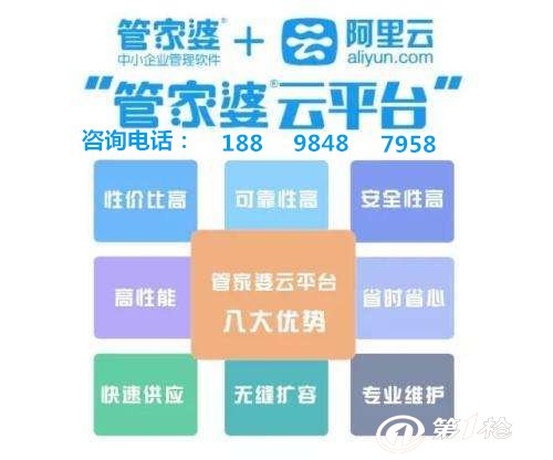 管家婆的資料一肖中特，深度解析與探索，管家婆資料揭秘，深度解析與探索一肖中特秘密