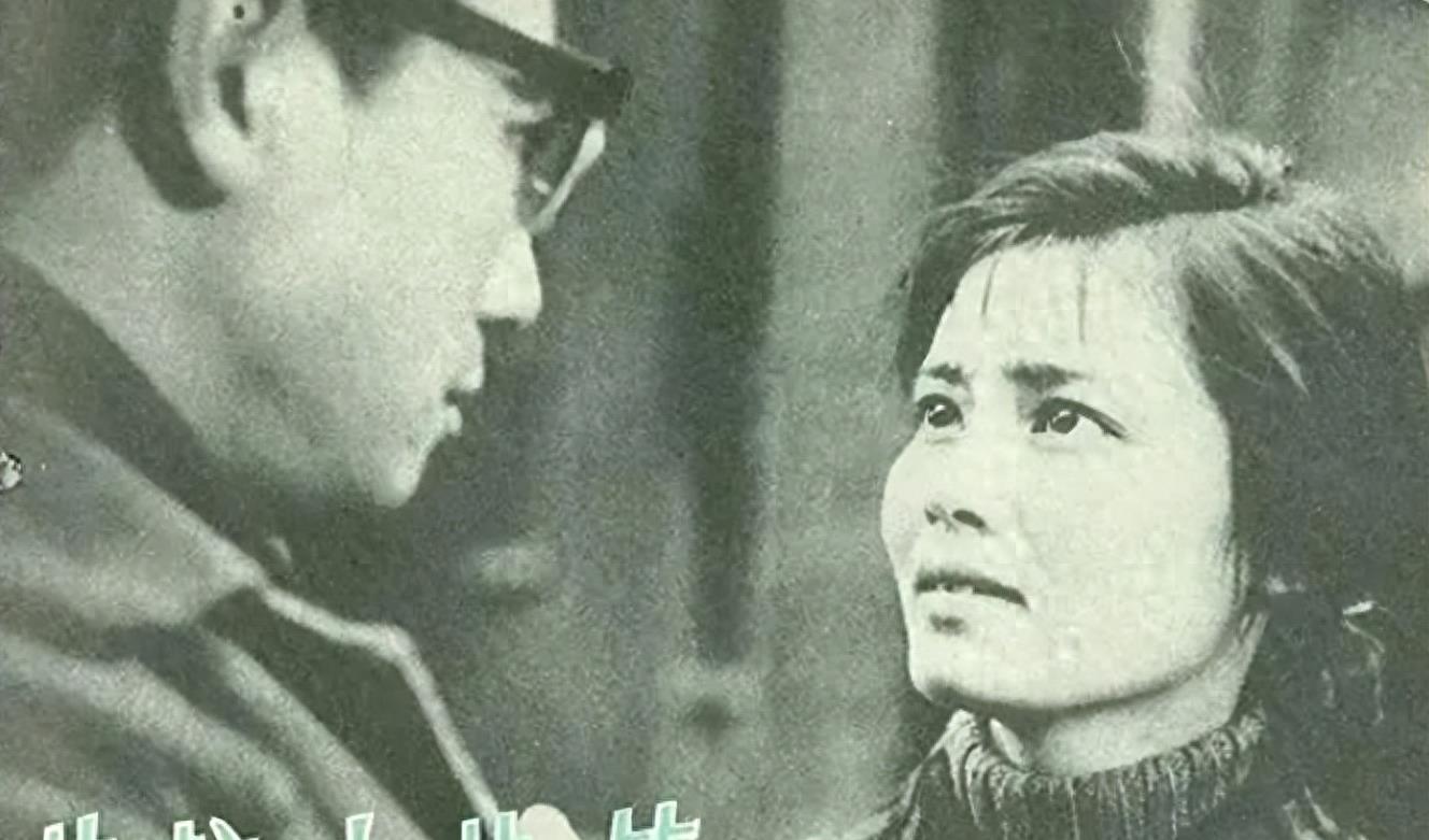 潘虹電視劇作品，演技的卓越與歷史的見(jiàn)證，潘虹電視劇作品，演技卓越，歷史見(jiàn)證的輝煌