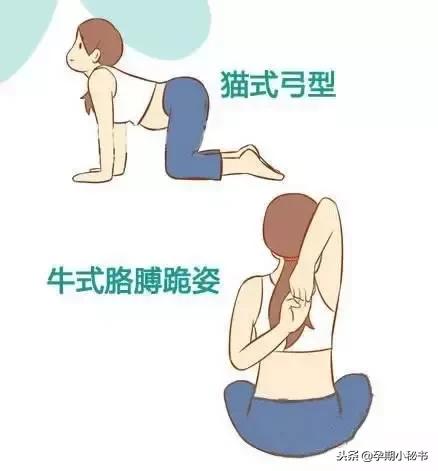 孕婦瑜伽，簡(jiǎn)單動(dòng)作助力孕期健康，孕婦瑜伽，簡(jiǎn)單動(dòng)作助力孕期健康與舒適