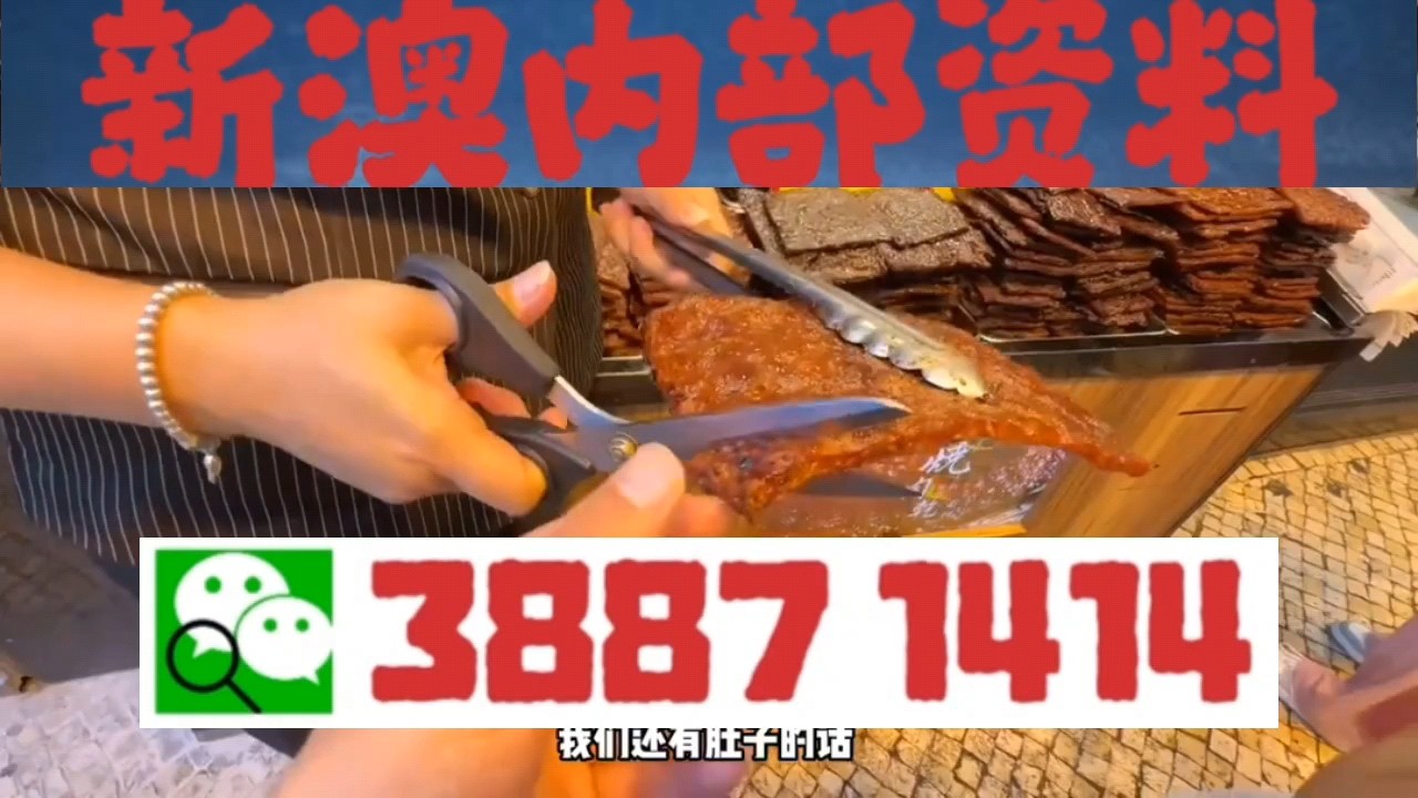 澳門一肖三碼必中特，探索與揭秘，澳門一肖三碼必中特，揭秘與探索的奧秘