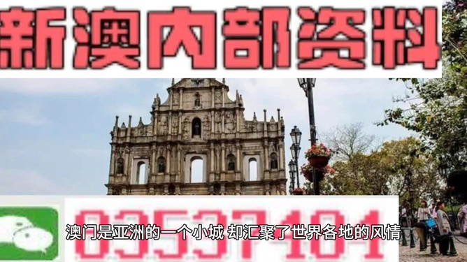 澳門精準(zhǔn)四不像，探索與解析（2025展望），澳門精準(zhǔn)四不像解析與未來展望（2025年展望）