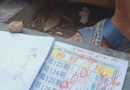 關(guān)于六開彩天天免費(fèi)資料大全的探討與解析，六開彩天天免費(fèi)資料大全深度解析與探討