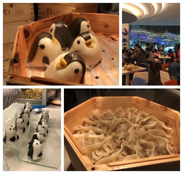 珠海長隆海洋樂園四人家庭套票，一次難忘的海洋探險之旅，珠海長隆海洋樂園四人家庭套票，難忘的海洋探險之旅體驗
