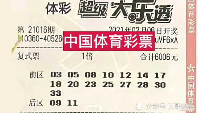 香港特馬開碼開獎結(jié)果今天，探索彩票背后的文化與社會影響，香港特馬開獎結(jié)果今日揭秘，探索彩票背后的文化與社會影響