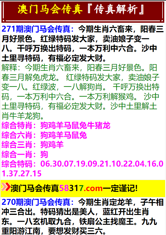 澳門最新資料概覽，澳門最新資料概覽概覽