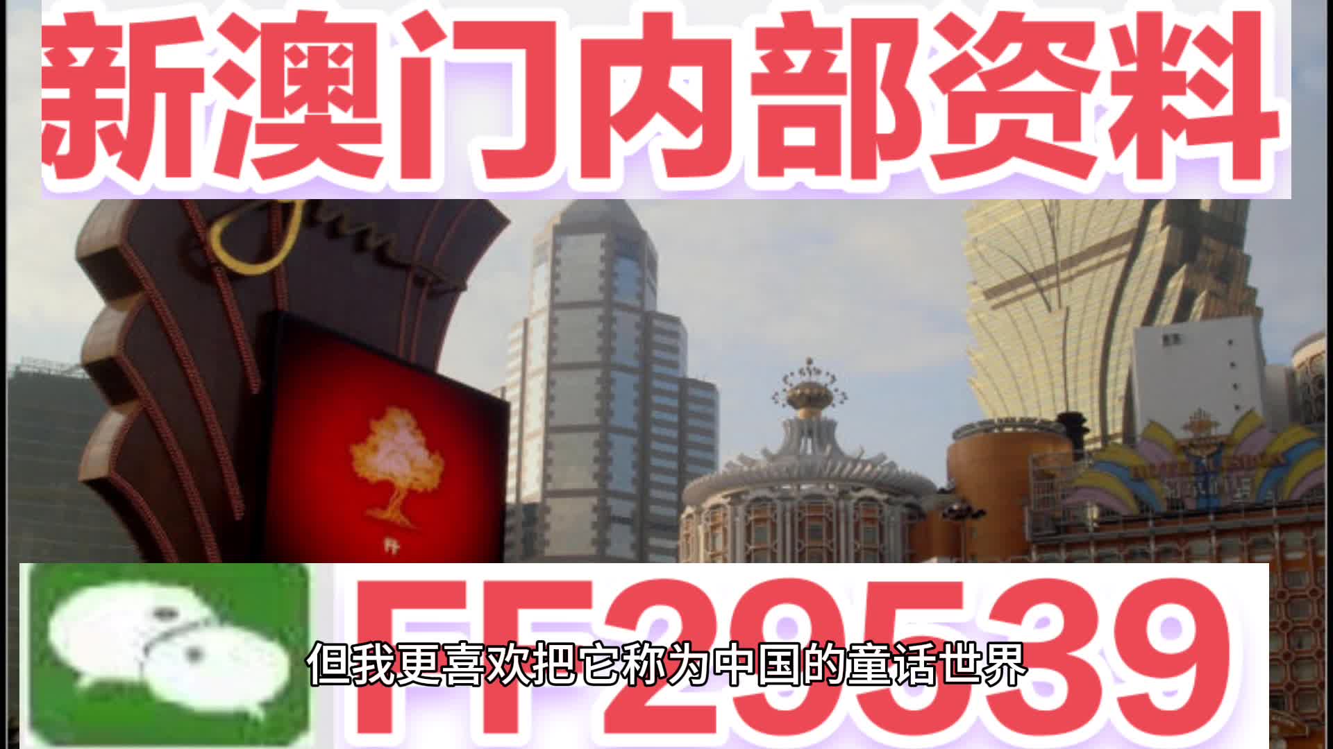 新澳門單雙肖期期，探索與解讀，新澳門單雙肖期期探索解讀指南