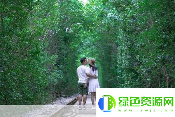 最美情侶的中國字幕視頻，情感與文化的交融之美，最美情侶字幕視頻，情感與文化交融的絕美展現(xiàn)
