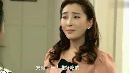 善良兒媳，家庭和諧之光，善良兒媳，家庭和諧之光的核心力量