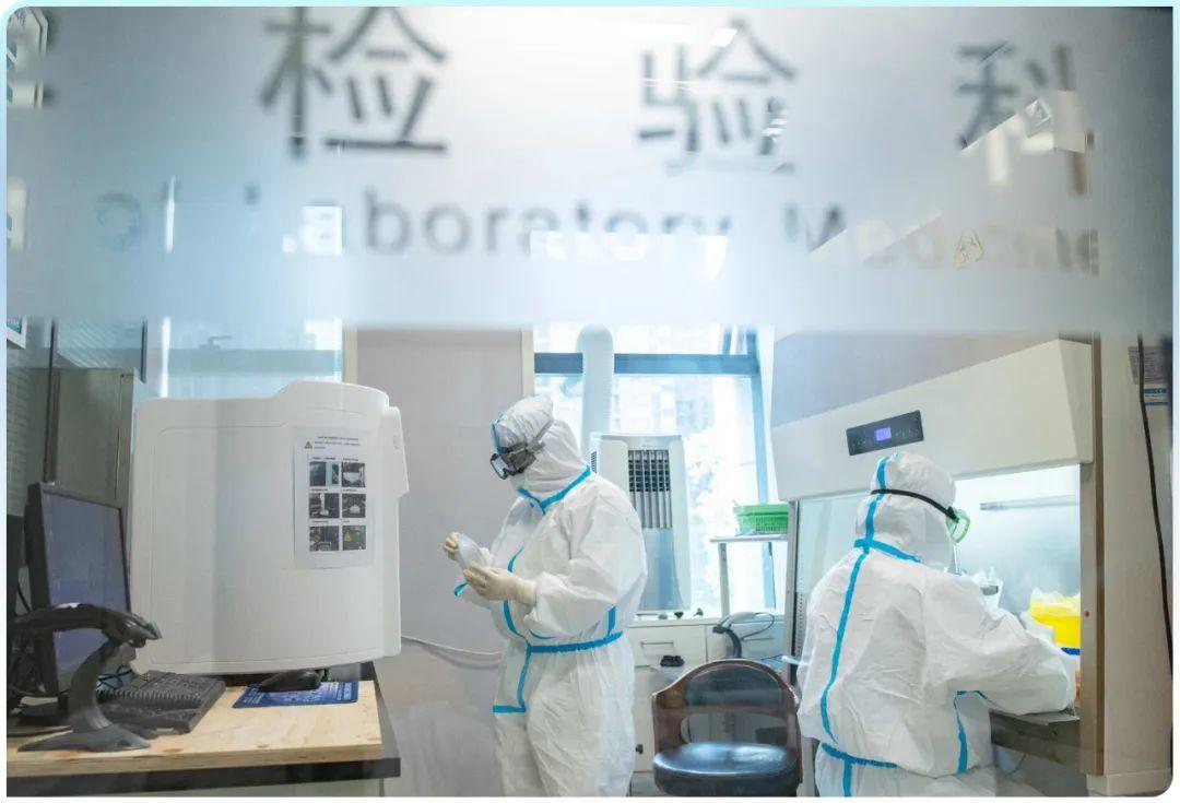 張珊珊到底是誰(shuí)？，揭秘張珊珊身份背景，究竟是誰(shuí)？