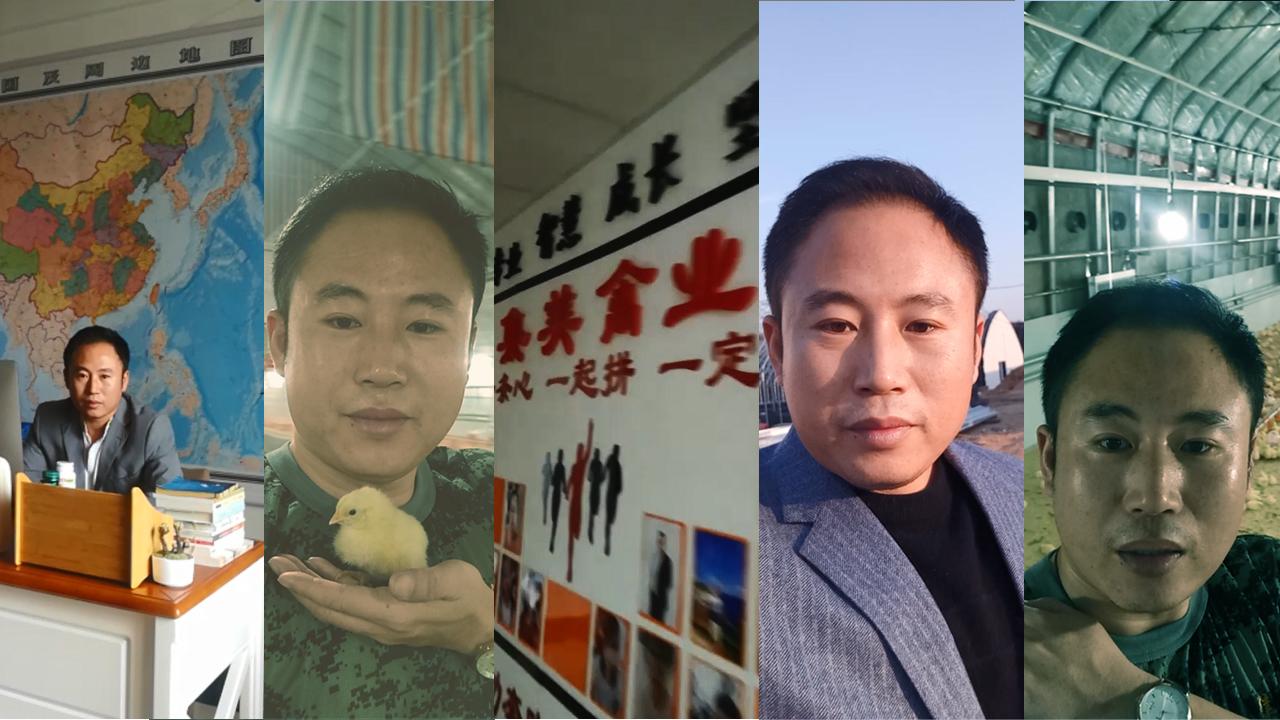 麻雞價(jià)格行情今日?qǐng)?bào)價(jià)及市場(chǎng)分析，麻雞今日價(jià)格行情及市場(chǎng)分析