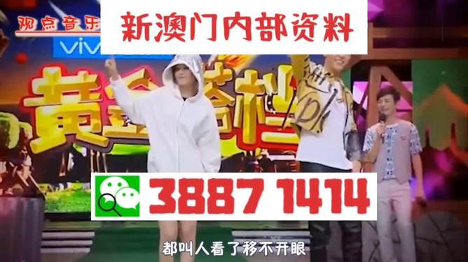 澳門一碼一肖一待一中四不，探索與解析，澳門一碼一肖一待一中四解析與探索