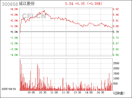 延江股份（300658）股吧深度解析，延江股份（300658）股吧全面解析報(bào)告