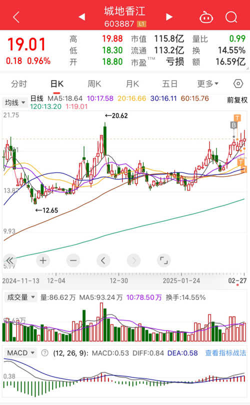 獨特魅力與挑戰(zhàn)