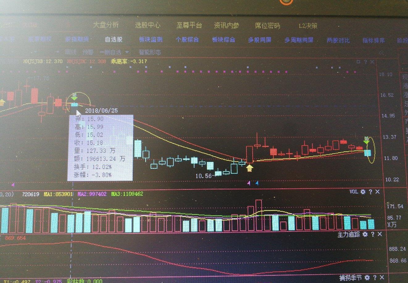 羅牛山（000735）股吧，深度解析與前景展望，羅牛山（000735）股吧深度解析及前景展望，投資視角的全面剖析