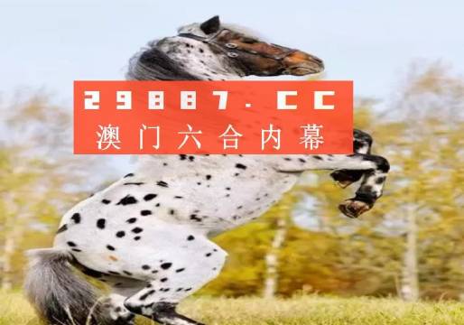 澳門一肖必開一肖，探索背后的神秘與魅力，澳門一肖必開背后的神秘魅力探索